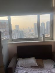 -复旦大学附属妇产科医院(杨浦院区)