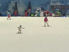 -长沙湘江冰雪世界