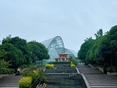 -南山植物园