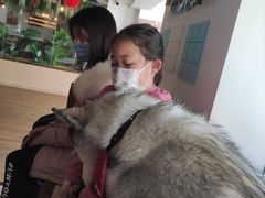 -Husky Go! 哈士奇体验馆·宠物咖啡厅狗咖