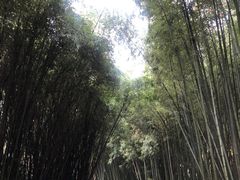 -苏州河梦清园环保主题公园