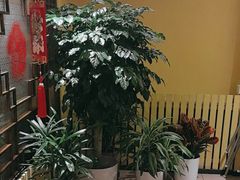-西贝(六里桥旗舰店)