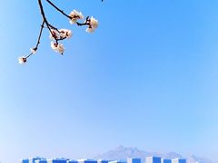 -青岛东方影都融创电影世界