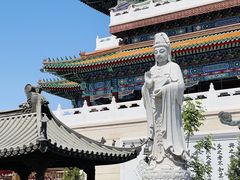 -天津大悲禅院