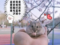 -吉林大学(前卫南区)