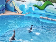 -香港海洋公园