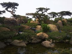 -罗红摄影艺术馆