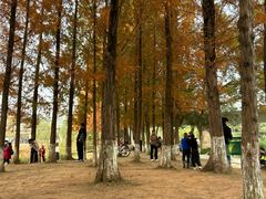 -白鹭湾湿地公园