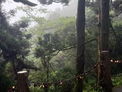 -南岳衡山风景名胜区-南岳大庙