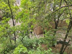 -南山植物园