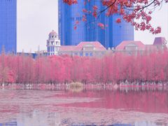 -艾溪湖湿地公园