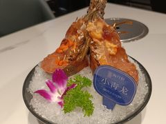 -海月轩海鲜豆捞(紫金塔店)