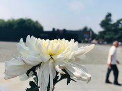 -侵华日军南京大屠杀遇难同胞纪念馆