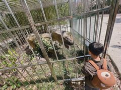 -自然谷恐龙园