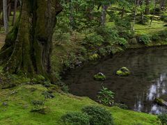 -西芳寺(苔寺)