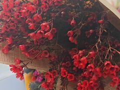 -双季花艺园艺市场(浦东店)