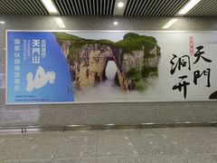 -张家界荷花国际机场