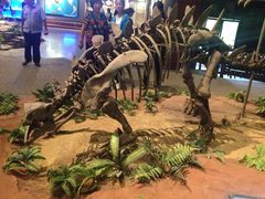 -自贡恐龙博物馆