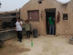 -镇北堡西部影城