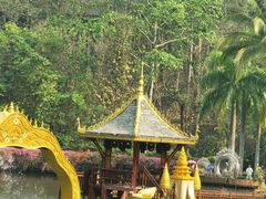 -西双版纳原始森林公园