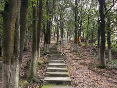 -火炉山森林公园