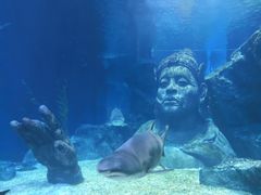 -暹罗海洋世界