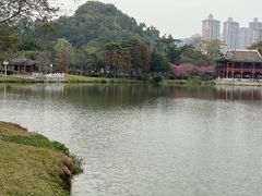 -顺峰山公园