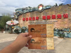 -世界恐龙谷景区