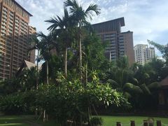 -三亚湾红树林度假世界(木棉酒店)