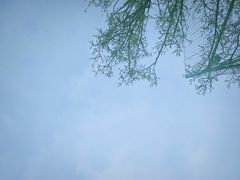 -游心咖啡(青山滨江店)