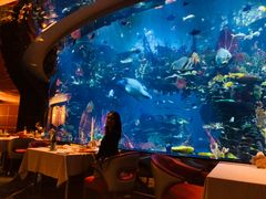 -迪拜帆船酒店海底餐厅