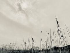 -亮河湾山庄