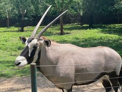 -大连森林动物园