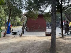 -中岳庙