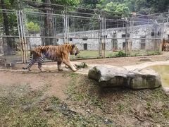 -黔灵山公园