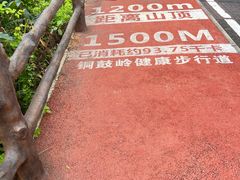 -海南铜鼓岭景区