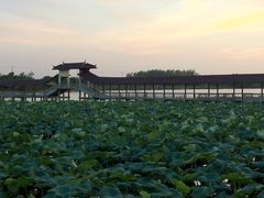 -金龟岛渔村
