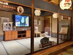 -大江户·温泉洗浴(浑南店)