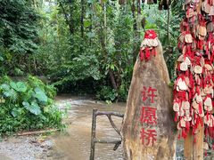 -莫里热带雨林景区