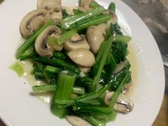 -牧民人家羊粪火自煮手把肉餐馆