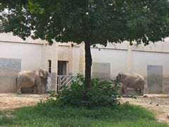 -北京野生动物园