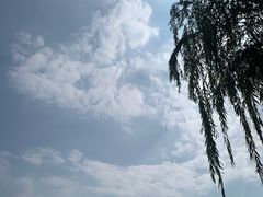 -金沙湖旅游度假区