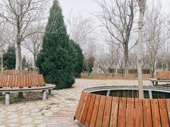 -绿岛公园(滨海新区)