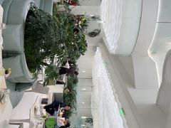 -大树餐厅(环球港店)