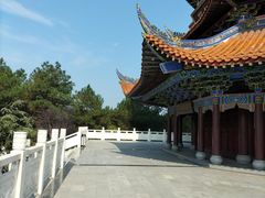 -铁山坪森林公园