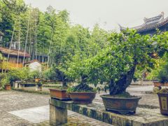 -木子山庄·安徽省老字号·中国炖锅宴
