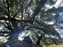 -云水谣景区
