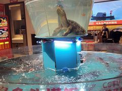 -魏铭鱼头捞饭(晋阳路店)