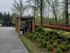 -黄兴公园