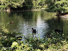 -长白岛森林公园